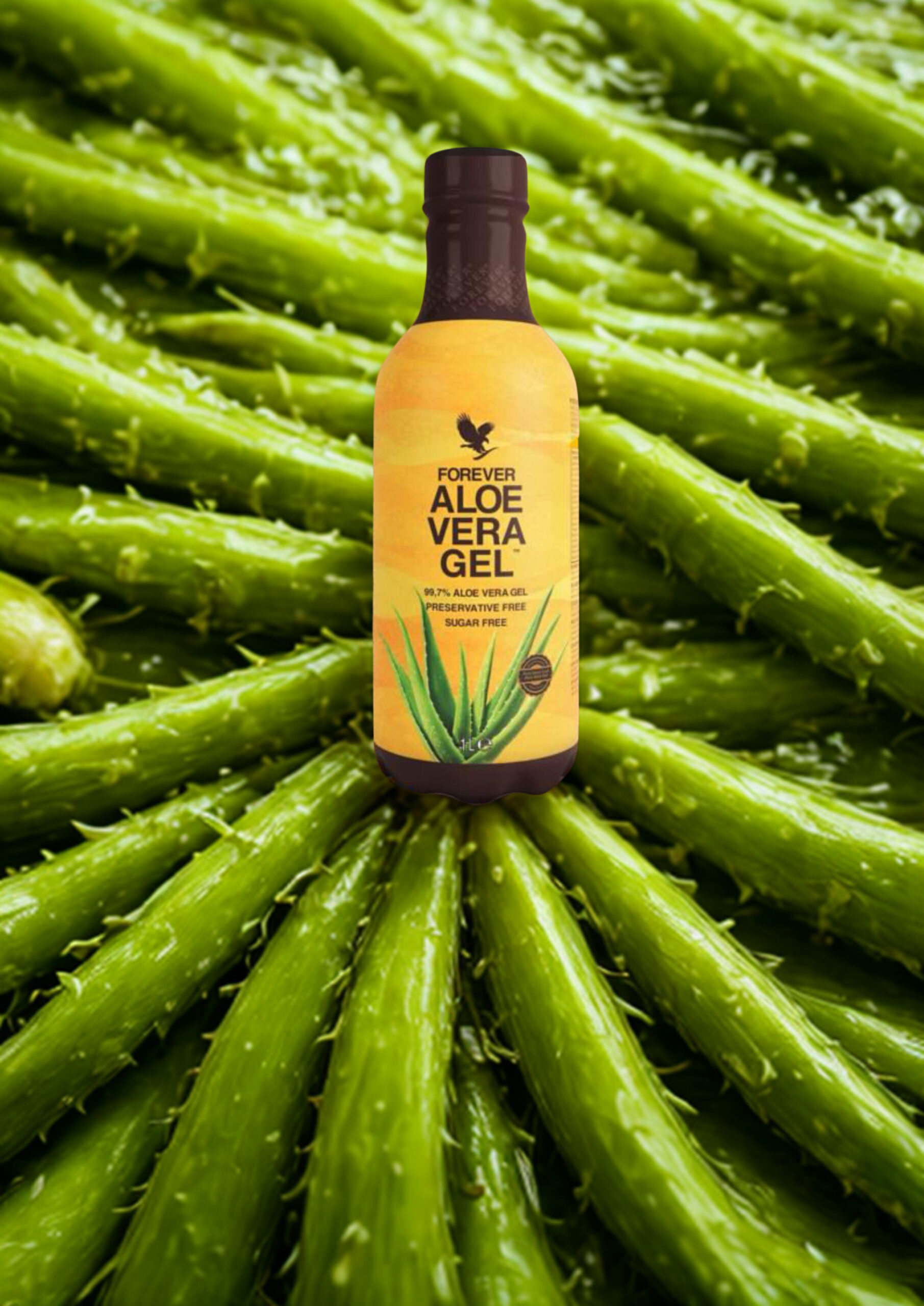 aloe vera