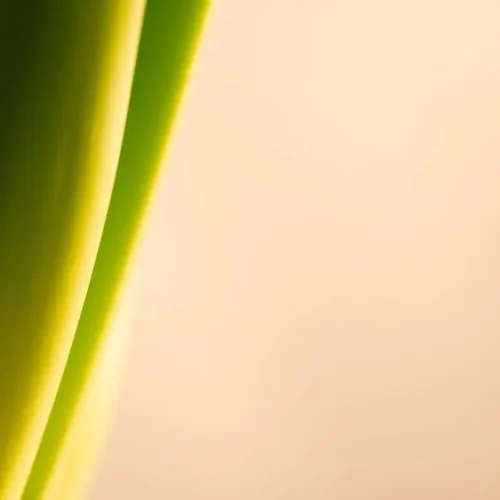 Aloe Vera for Gut Health: Can It Really Improve Digestion?